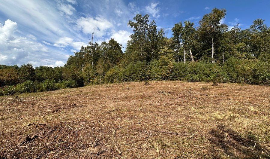 13 44 Ac Chestnut Ridge Rd, Allardt, TN 38504 - 0 Beds, 0 Bath