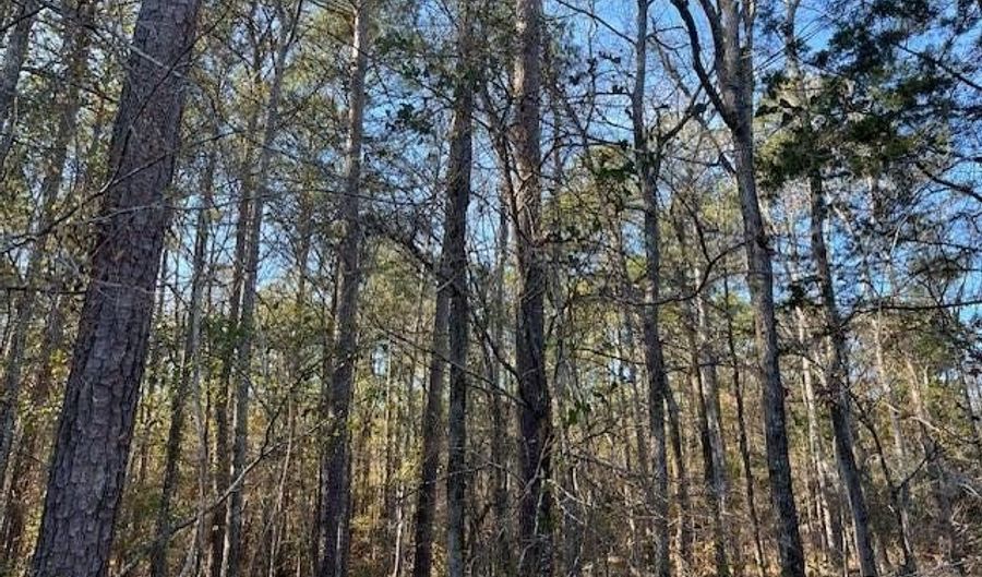 3015 Timber Woods Dr Lot 8, Appling, GA 30802 - 0 Beds, 0 Bath