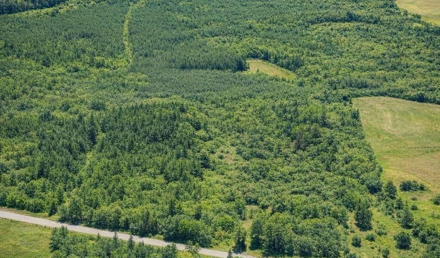40 8 Acres Johnson Bridge Rd, Ariton, AL 36311 - 0 Beds, 0 Bath