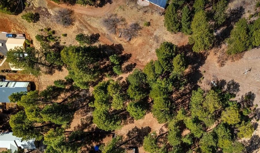 116 Pine Dr, Bayfield, CO 81122 - 0 Beds, 0 Bath