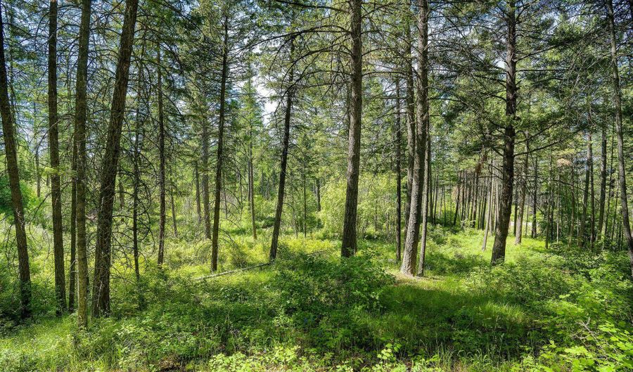 121 Pinto Trl, Bigfork, MT 59911 - 0 Beds, 0 Bath