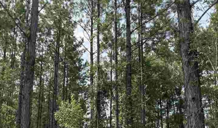 0 Taylor Cir, Atmore, AL 36502 - 0 Beds, 0 Bath