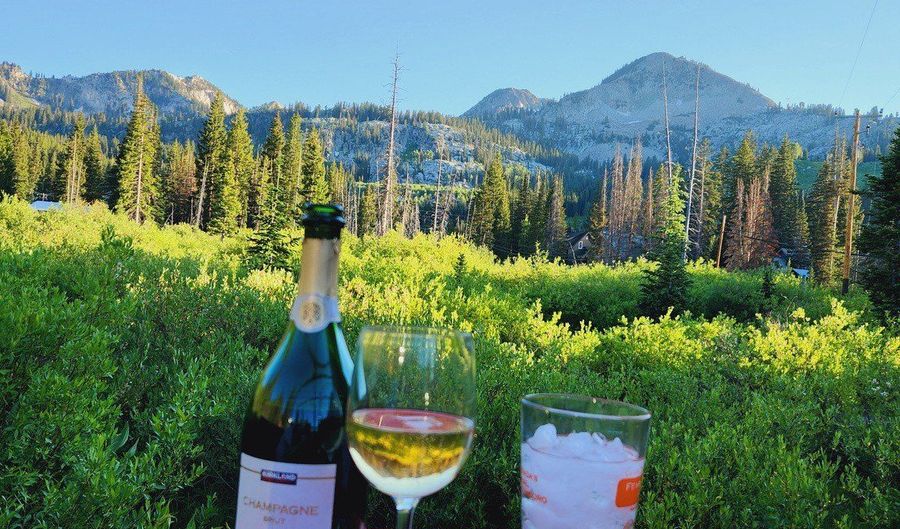 8101 S MILLICENTVIEW Ln, Brighton, UT 84121 - 3 Beds, 1 Bath