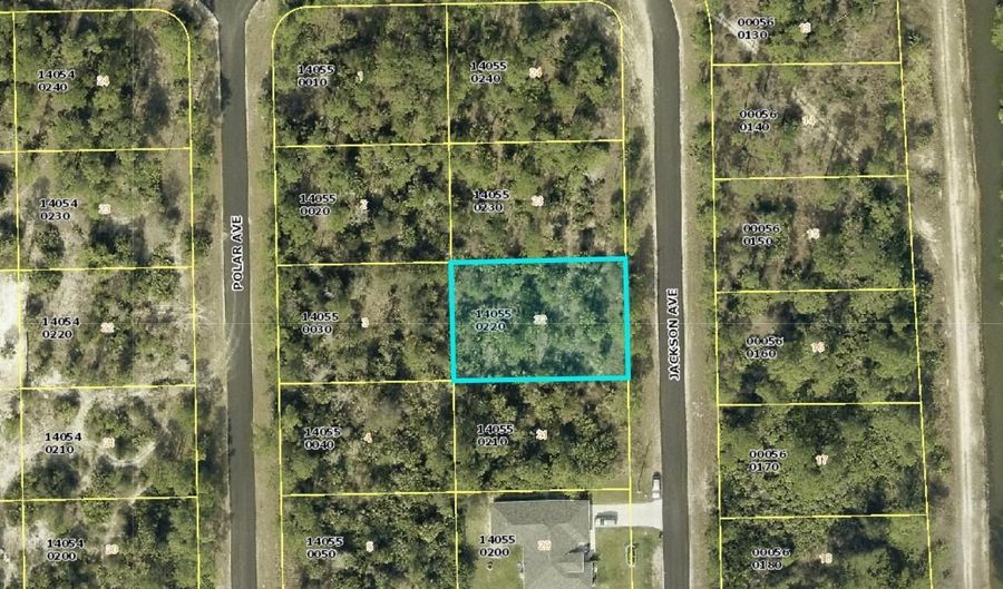 2119 Jackson Ave, Alva, FL 33920 - 0 Beds, 0 Bath