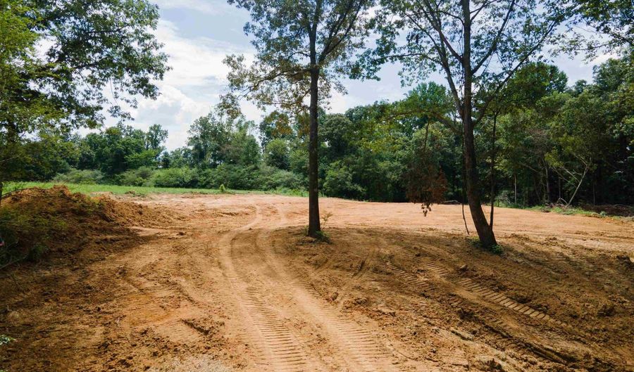 1717 County Road 1579, Baileyton, AL 35019 - 0 Beds, 0 Bath