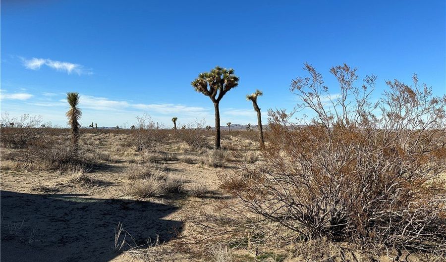 2 Wilson Ranch Rd, Adelanto, CA 92301 - 0 Beds, 0 Bath