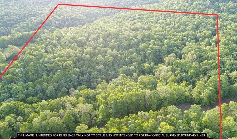TBD CR 935, Alpena, AR 72611 - 0 Beds, 0 Bath