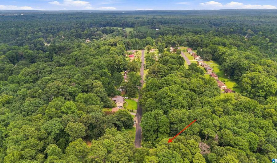 5042 LAPINE Dr, Adamsville, AL 35005 - 4 Beds, 2 Bath