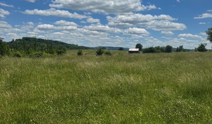 Tract 5 Old Kentucky Road Hwy 528 lot 5, Albany, KY 42602 - 0 Beds, 0 Bath