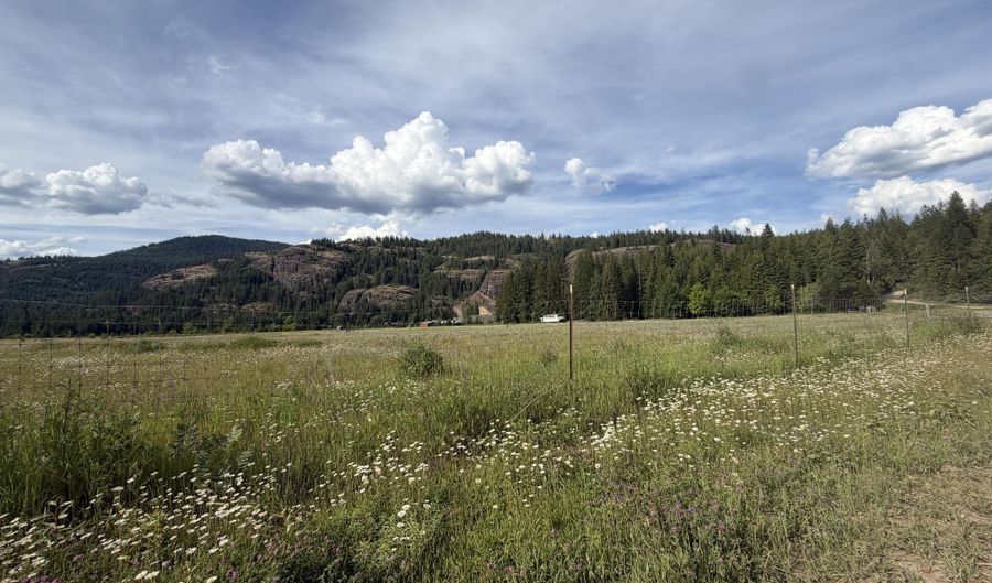 113 Bear Hill Rd, Clark Fork, ID 83811 - 4 Beds, 2 Bath