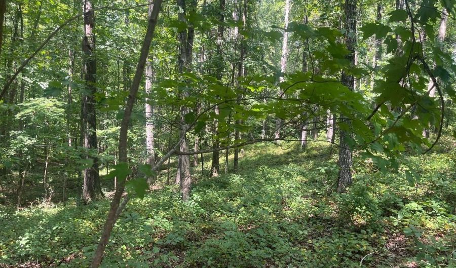 2055 Henry Scott Rd-LOT B 3.7 Acres, Ball Ground, GA 30107 - 0 Beds, 0 Bath