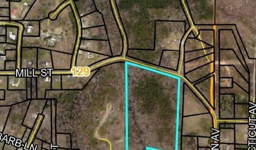 151 W Ml, Tallapoosa, GA 30176 - 0 Beds, 0 Bath