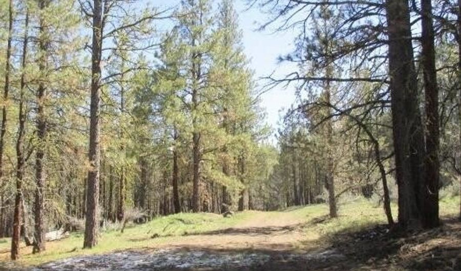 Partin Drive 2, Beatty, OR 97621 - 0 Beds, 0 Bath