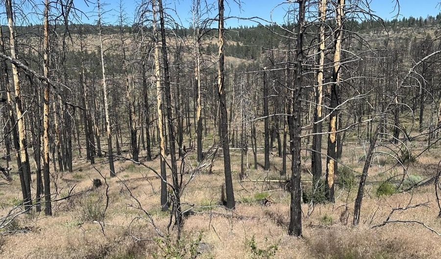 Wren Dr lot 11, Bonanza, OR 97623 - 0 Beds, 0 Bath