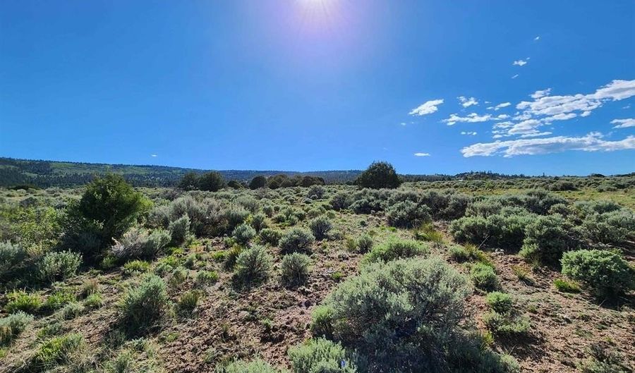 Conejos River Trails lot 10, Antonito, CO 81120 - 0 Beds, 0 Bath