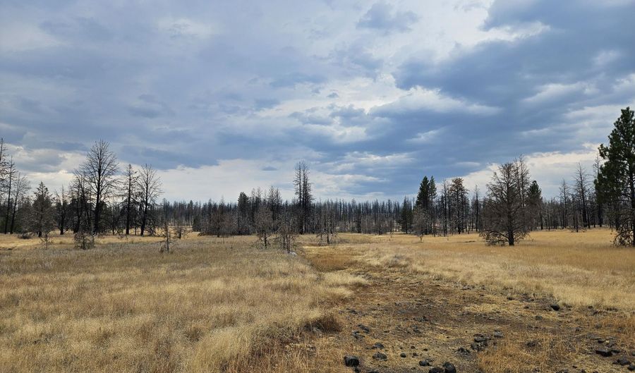 Parazoo Trail Lot 15, Bly, OR 97622 - 0 Beds, 0 Bath