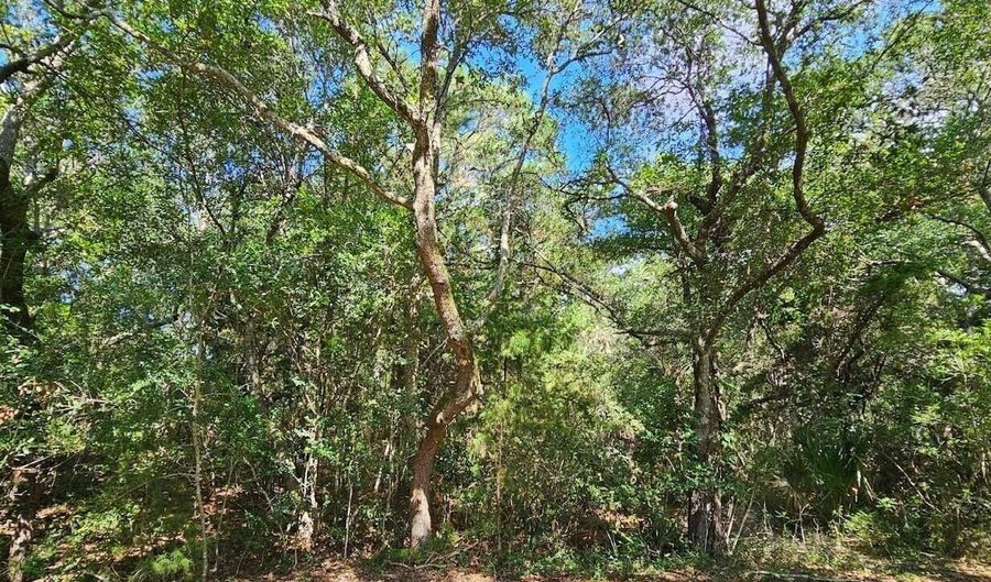 17 Col William Rhett Trl Lot 17, Bald Head Island, NC 28461 - 0 Beds, 0 Bath