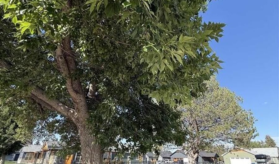 TBD 21st St, Cody, WY 82414 - 0 Beds, 0 Bath