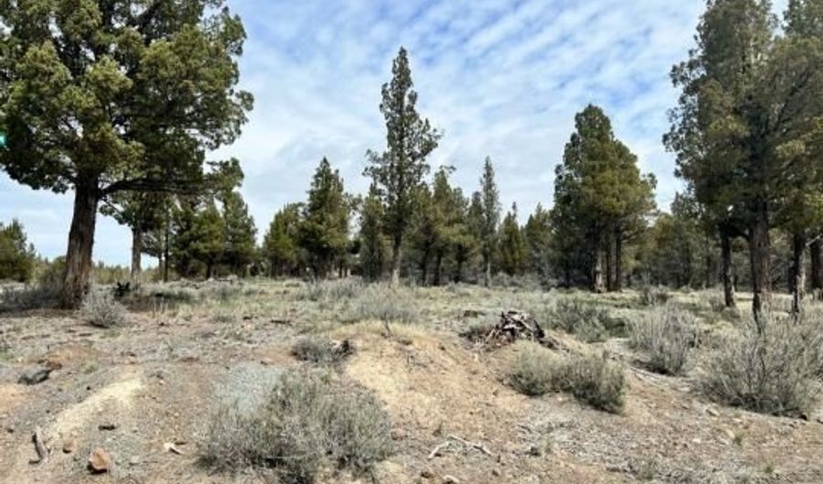 Mt Quail & Grizzley, Alturas, CA 96101 - 0 Beds, 0 Bath