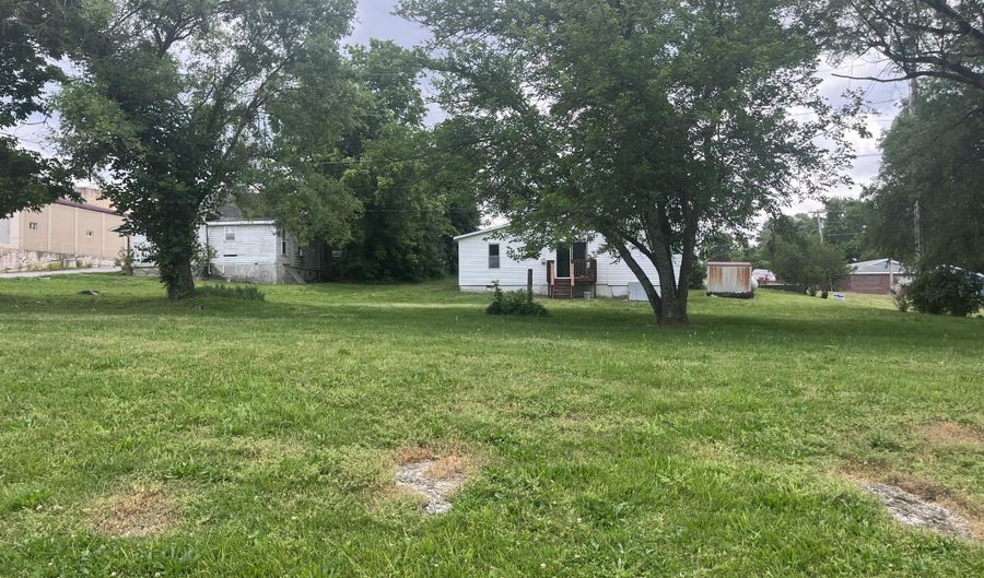 107 N Lister St, Ava, MO 65608 - 4 Beds, 2 Bath