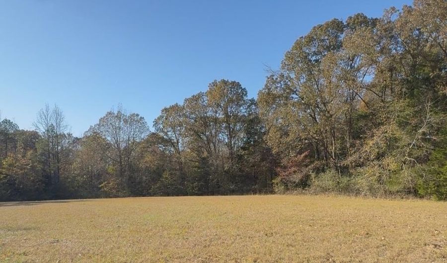 County Road 215, Abbeville, MS 38601 - 0 Beds, 0 Bath
