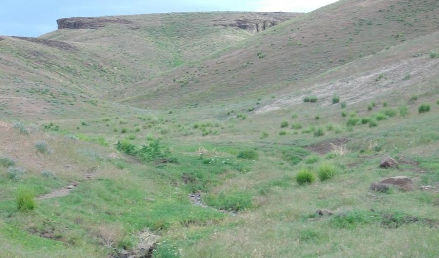 APN 010-100-21 lot 13, Battle Mountain, NV 89820 - 0 Beds, 0 Bath