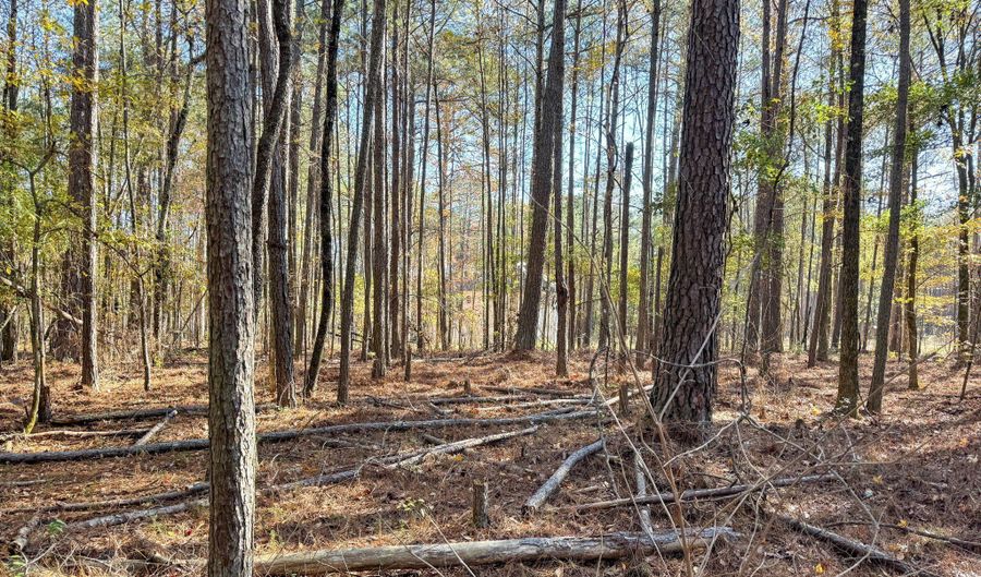 Crawford Road, Barnesville, GA 30204 - 4 Beds, 3 Bath