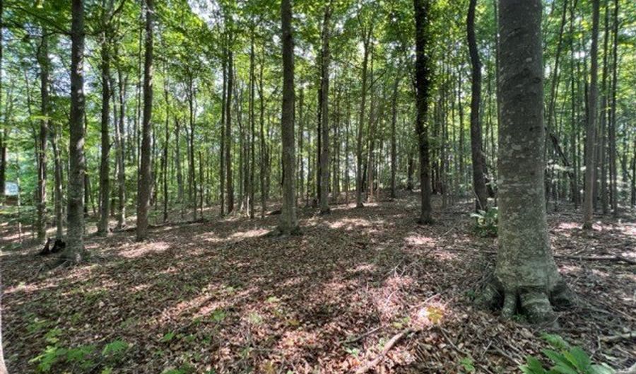 10 97 AC H R Huffer Ln, Allons, TN 38541 - 0 Beds, 0 Bath