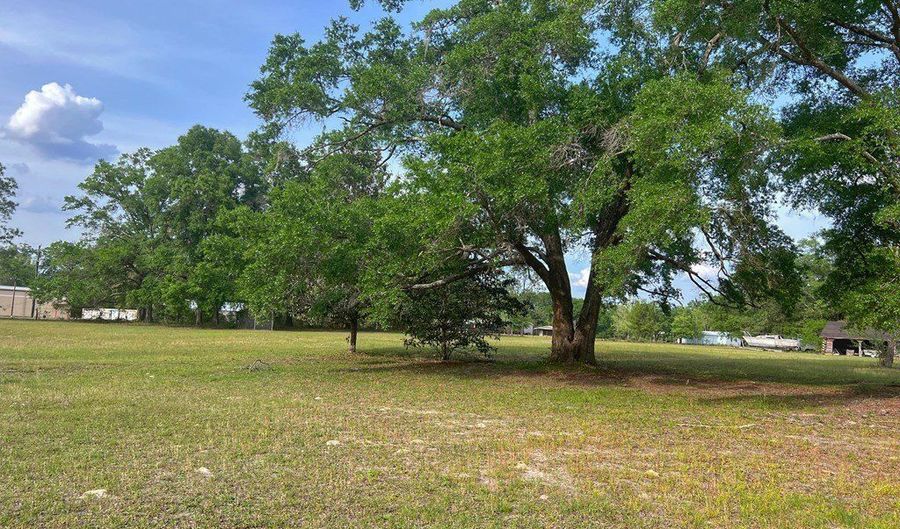N Main St, Bell, FL 32619 - 0 Beds, 0 Bath