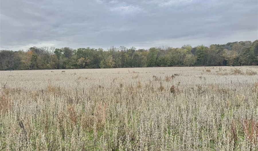 401 Duncan Rd, Alvaton, KY 42122 - 0 Beds, 0 Bath