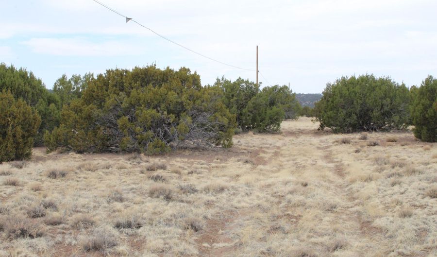 21 County Rd, Concho, AZ 85924 - 0 Beds, 0 Bath