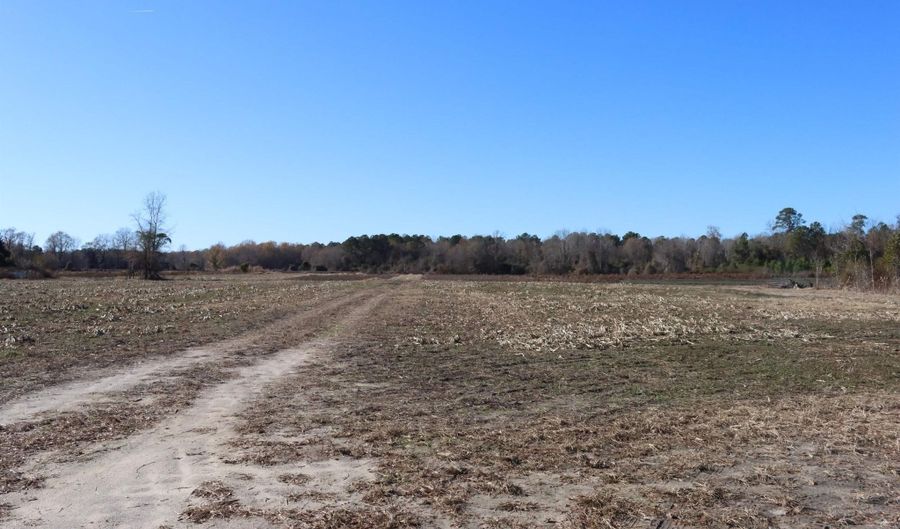 Highway 3, Blackville, SC 29817 - 0 Beds, 0 Bath