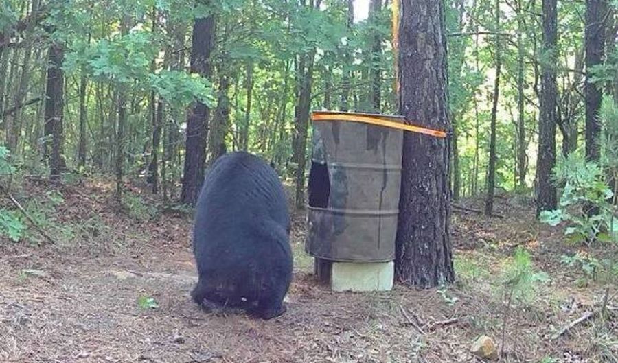 TRACT 39 TRAIL RIDGE ROAD, Albion, OK 74571 - 0 Beds, 0 Bath