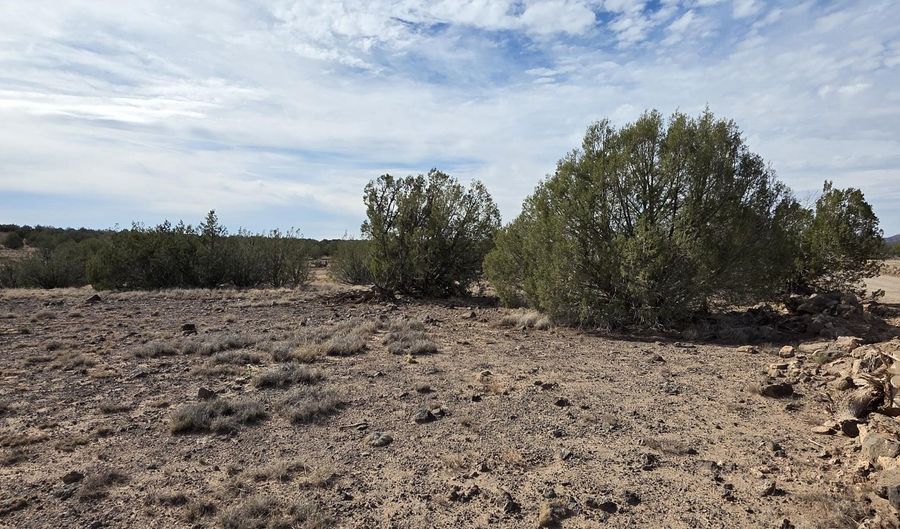 245 Antelope Run Rd, Ash Fork, AZ 86320 - 0 Beds, 0 Bath