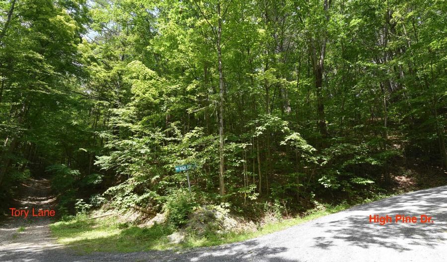 0 High Pine Dr, Arlington, VT 05250 - 0 Beds, 0 Bath