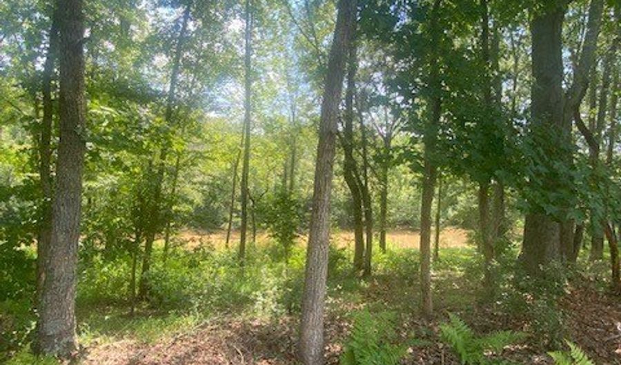 1764 Flatbottom, Ball Ground, GA 30107 - 0 Beds, 0 Bath