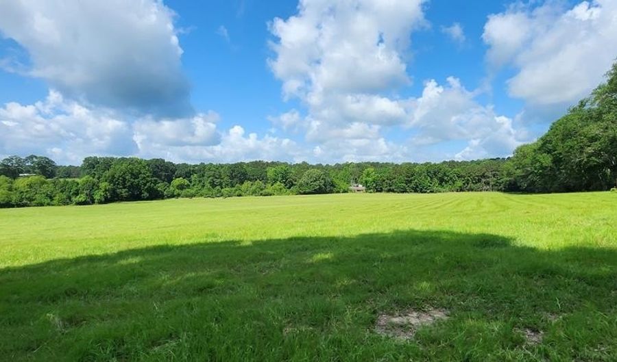 3350 SE Mt Pleasant Ln, Bogue Chitto, MS 39629 - 3 Beds, 1 Bath