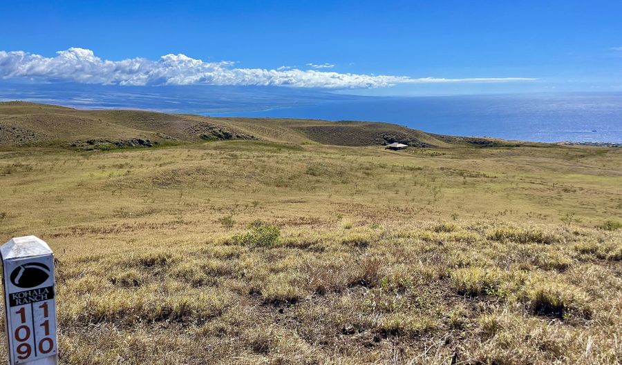 KAMAKANI LOOP Lot #: 110, Kapaau, HI 96743 - 0 Beds, 0 Bath