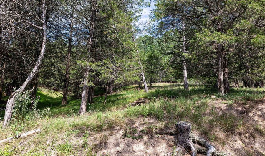 ALUM SPRINGS RD, Basye, VA 22810 - 0 Beds, 0 Bath