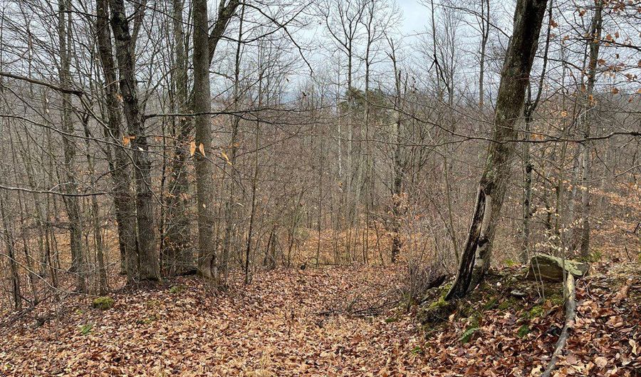 RT 64 Braden Hill Rd, Alma, WV 26320 - 0 Beds, 0 Bath