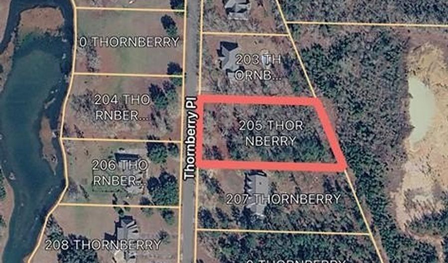 205 Thornberry Pl, Ashford, AL 36312 - 0 Beds, 0 Bath