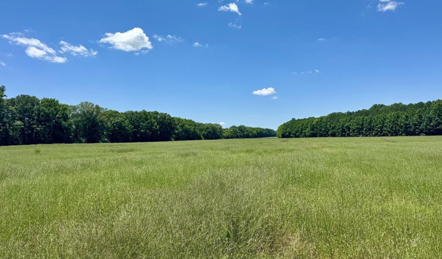 0005 Johnson Line Rd, Bolton, MS 39041 - 0 Beds, 0 Bath