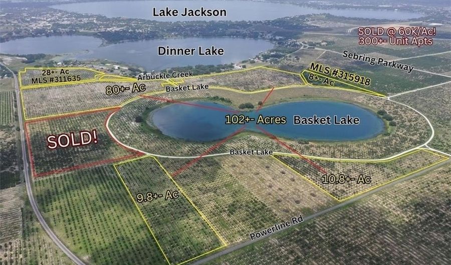 1115 Basket Lake Rd, Avon Park, FL 33825 - 0 Beds, 0 Bath