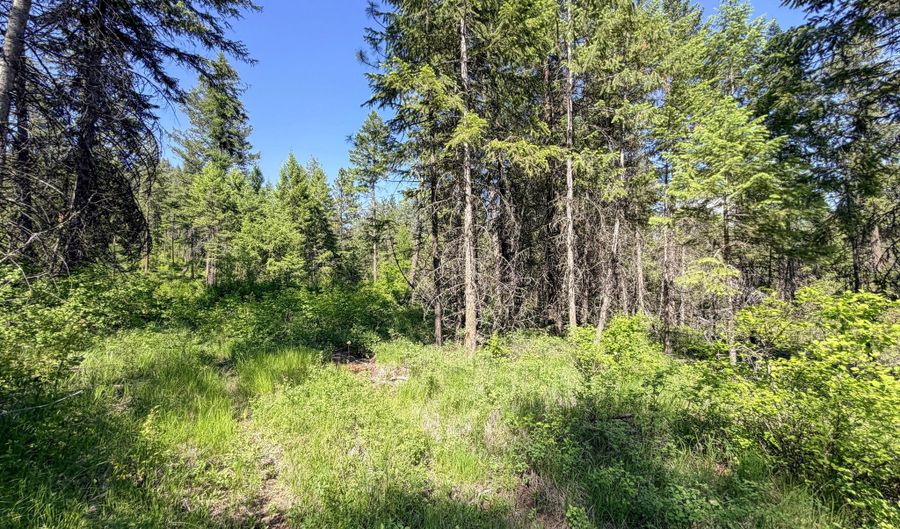 2008- TBD LOTS E-H SUMMIT VALLEY Rd, Addy, WA 99101 - 0 Beds, 0 Bath