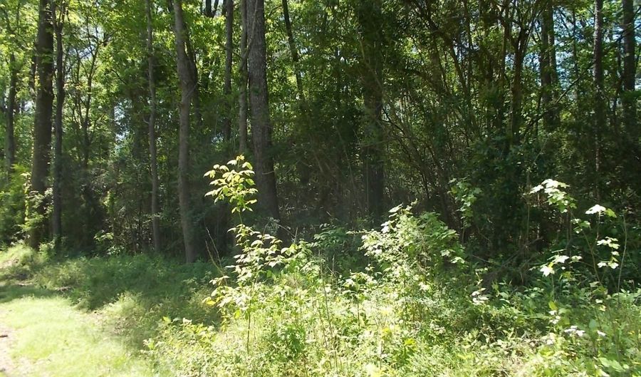 71 SWINDLE Dr Lot 1, Adamsville, AL 35005 - 0 Beds, 0 Bath