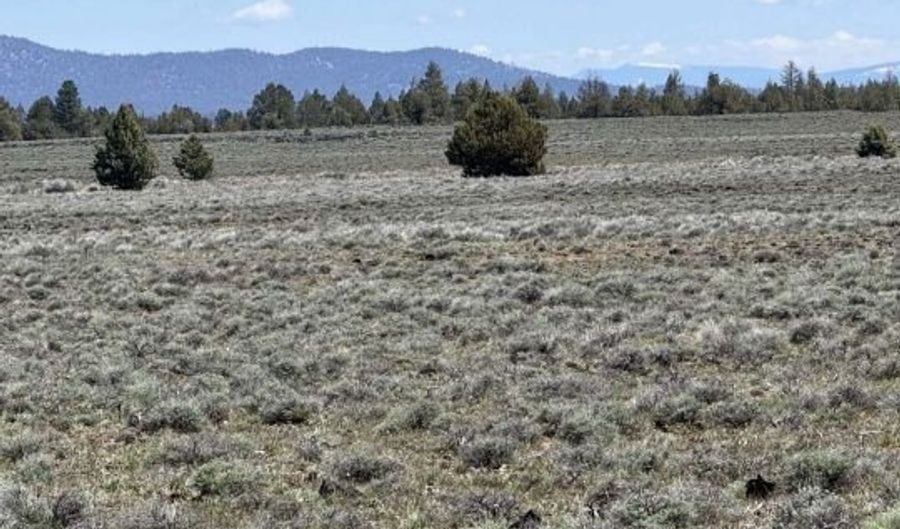 Oregon Pines Road, Beatty, OR 97621 - 0 Beds, 0 Bath