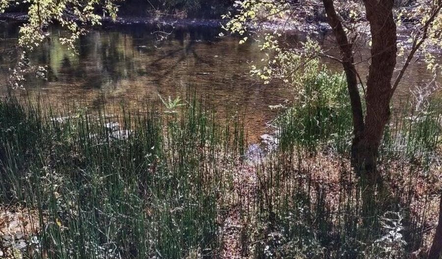 N Fork River Road, Abingdon, VA 24210 - 0 Beds, 0 Bath