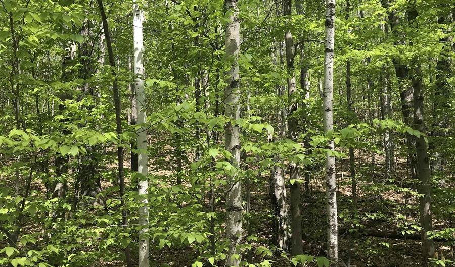 David Thompson Drive lot 10, Campton, NH 03223 - 0 Beds, 0 Bath