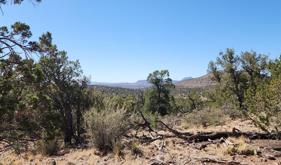 363 364 Big Vw, Ash Fork, AZ 86320 - 0 Beds, 0 Bath