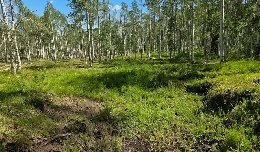 40 Acres Summit Mountain Rd, Brian Head, UT 84719 - 0 Beds, 0 Bath